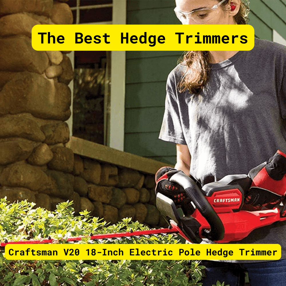 Craftsman V20 18-inch electric pole hedge trimmer cutting tall hedges in a backyard