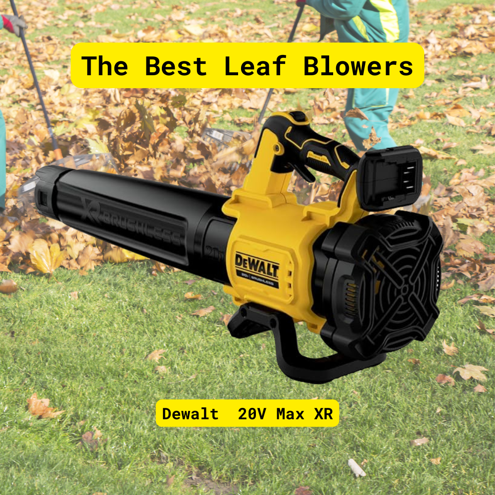 DeWalt 20V Max XR brushless handheld leaf blower compact powerful tool