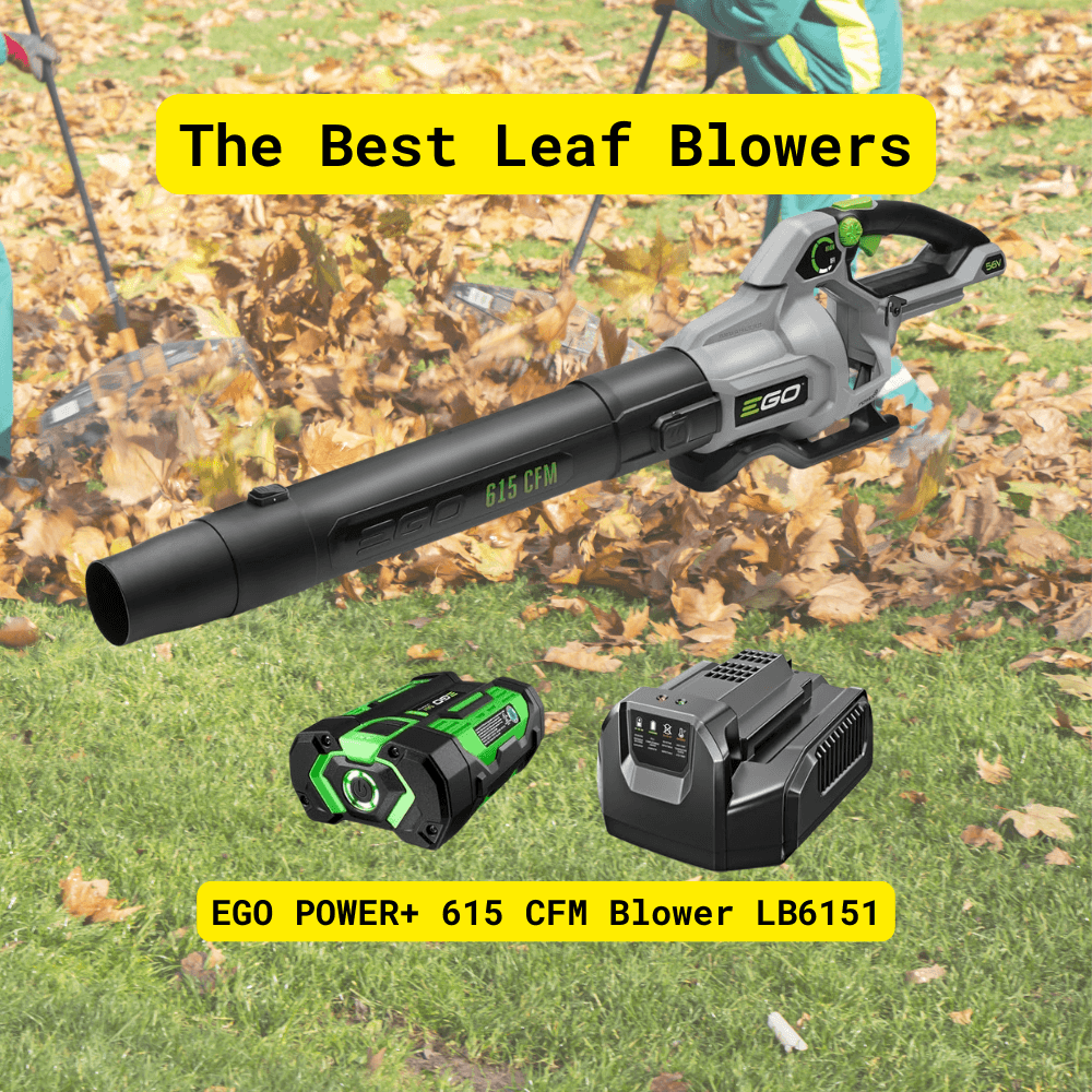 EGO POWER+ 615 CFM LB6151 cordless leaf blower for home yard work