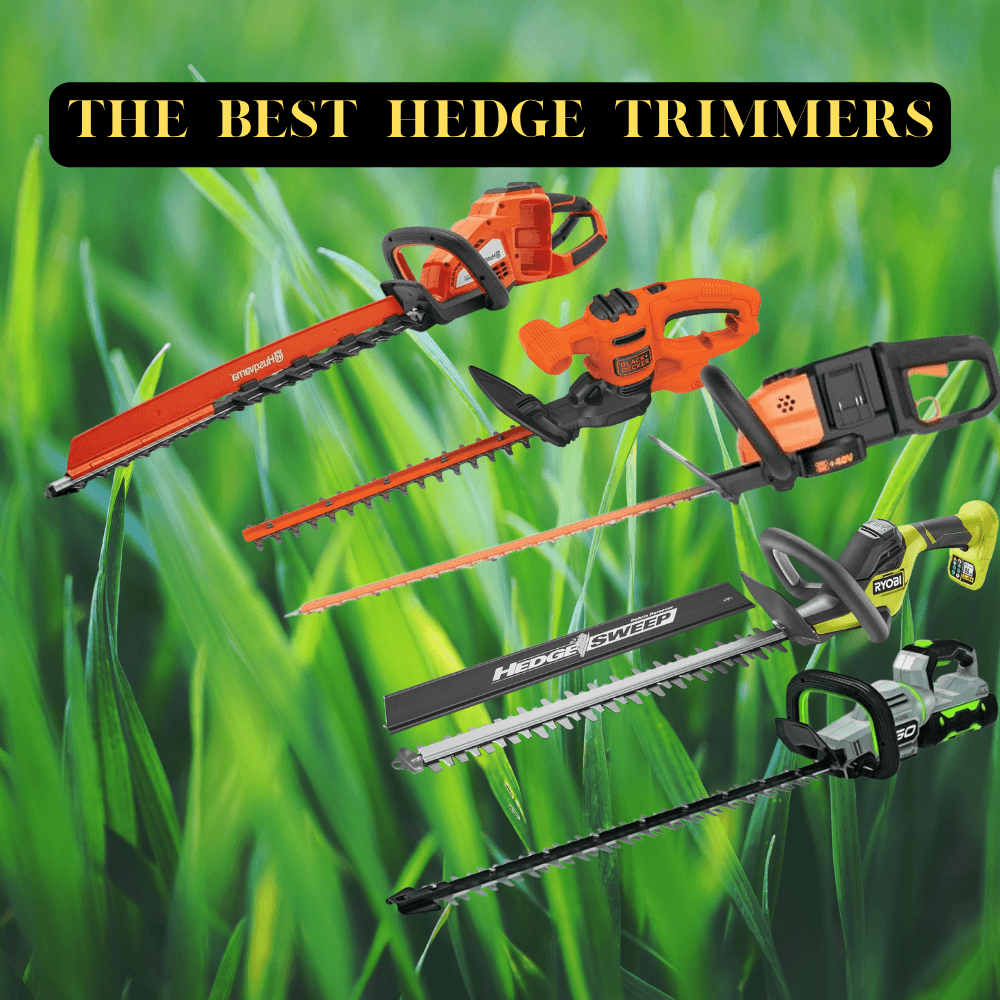 Best hedge trimmers for home and professional use including cordless and electric hedge trimmers in a garden setting