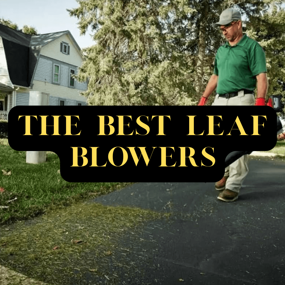 best leaf blowers comparison guide